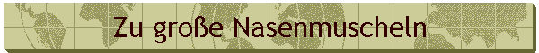 Zu große Nasenmuscheln